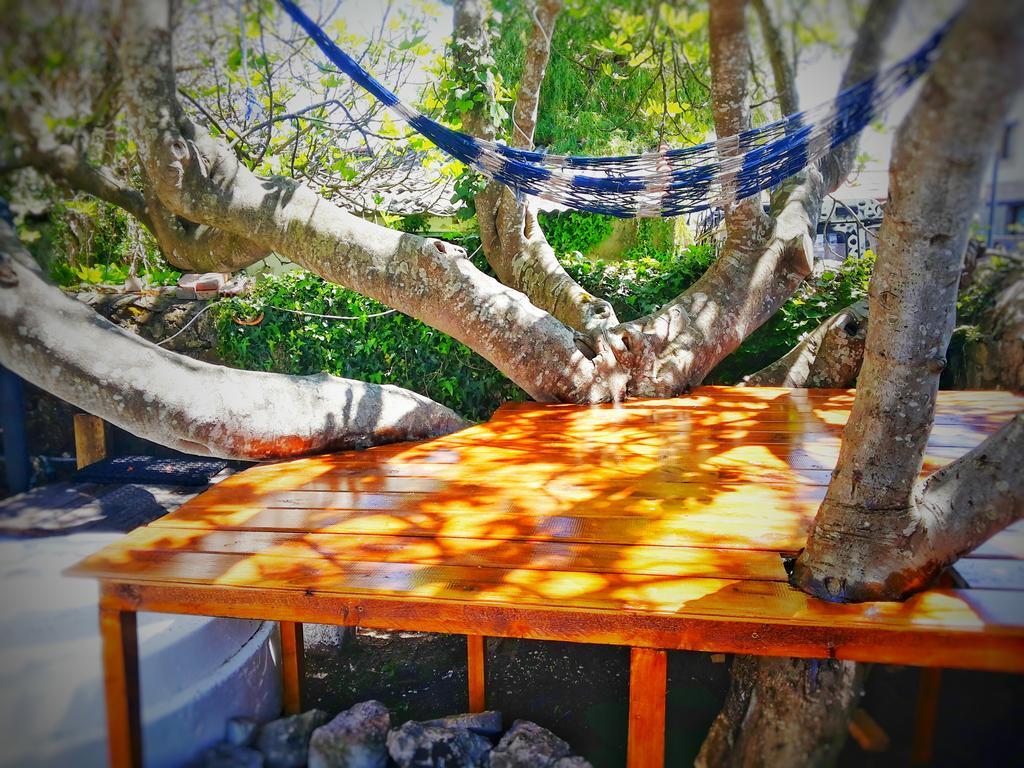 Surftolive House Hostel Somo Ngoại thất bức ảnh